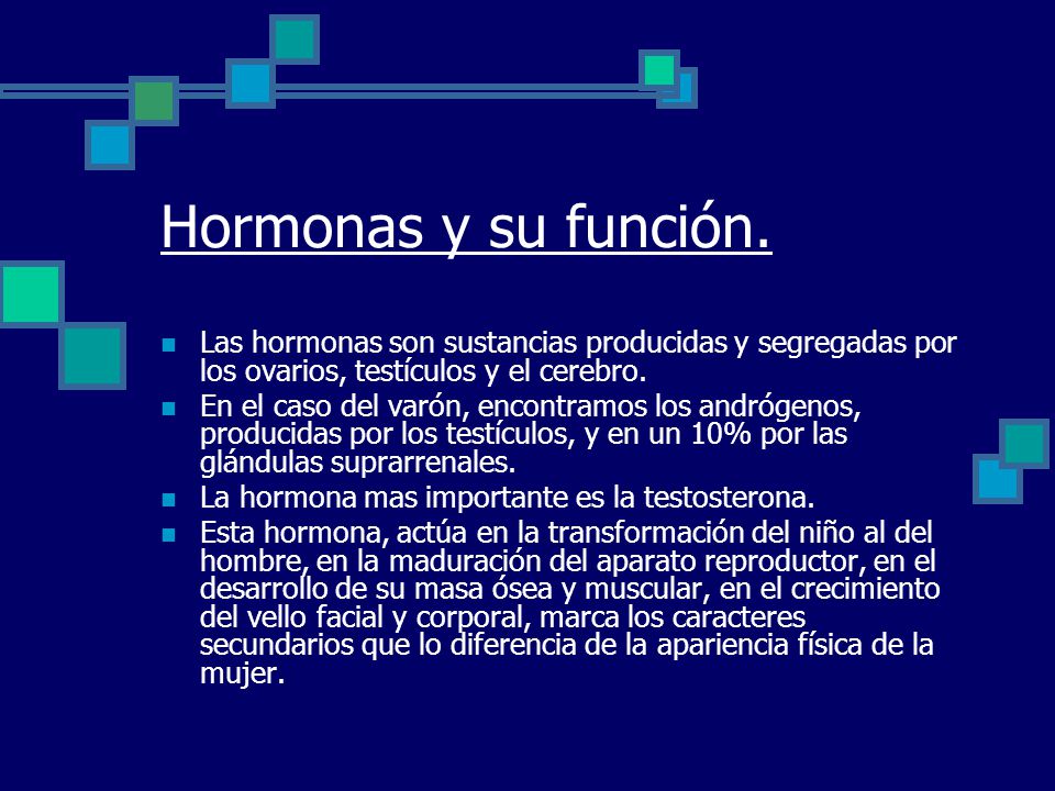 Hormonas y su función. Las hormonas son sustancias producidas y segregadas por los ovarios, testículos y el cerebro.