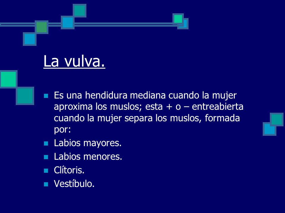 La vulva. Es una hendidura mediana cuando la mujer aproxima los muslos; esta + o – entreabierta cuando la mujer separa los muslos, formada por: