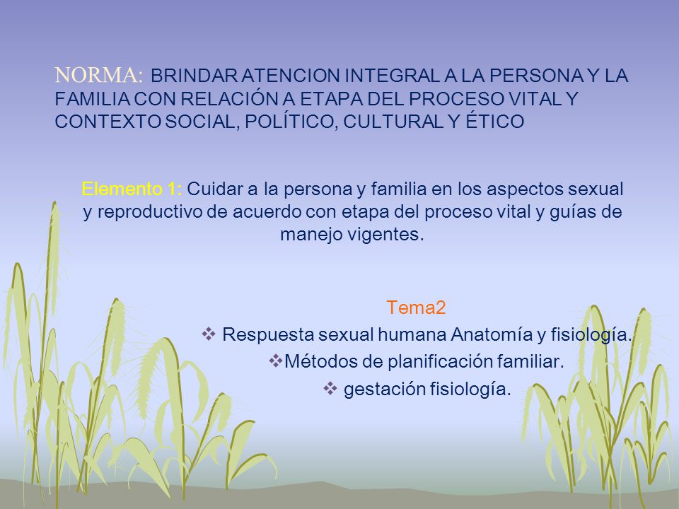 NORMA: BRINDAR ATENCION INTEGRAL A LA PERSONA Y LA FAMILIA CON RELACIÓN A ETAPA DEL PROCESO VITAL Y CONTEXTO SOCIAL, POLÍTICO, CULTURAL Y ÉTICO