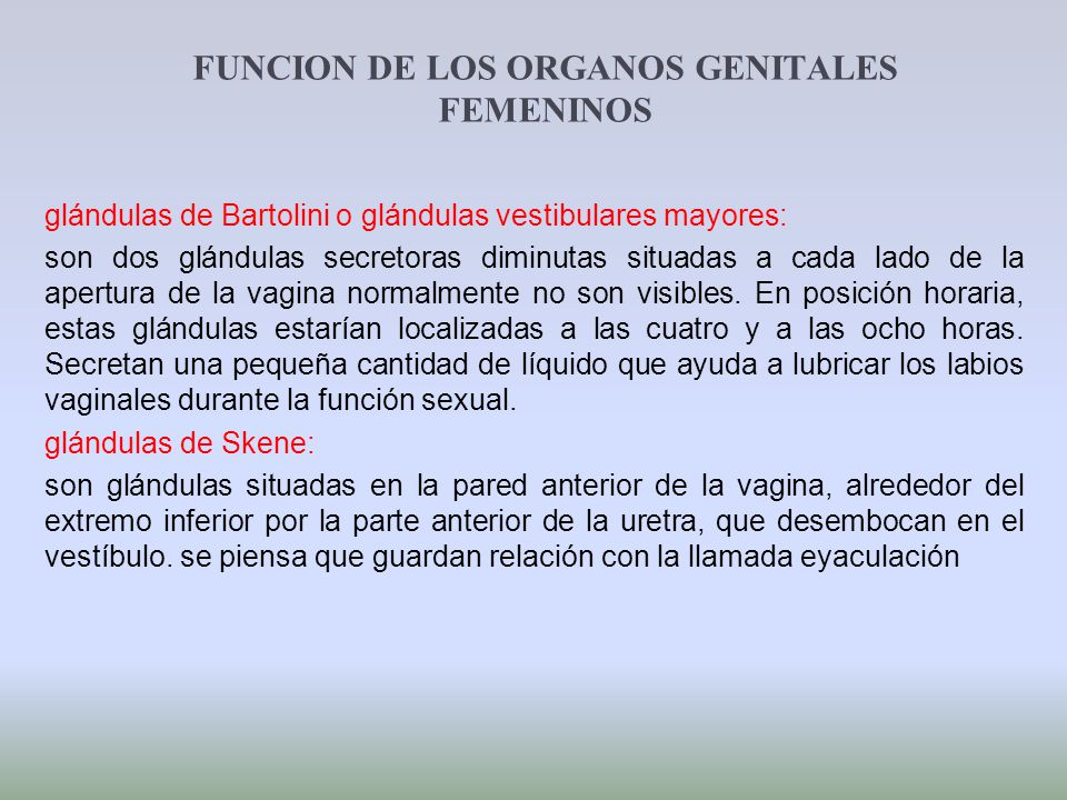 FUNCION DE LOS ORGANOS GENITALES FEMENINOS