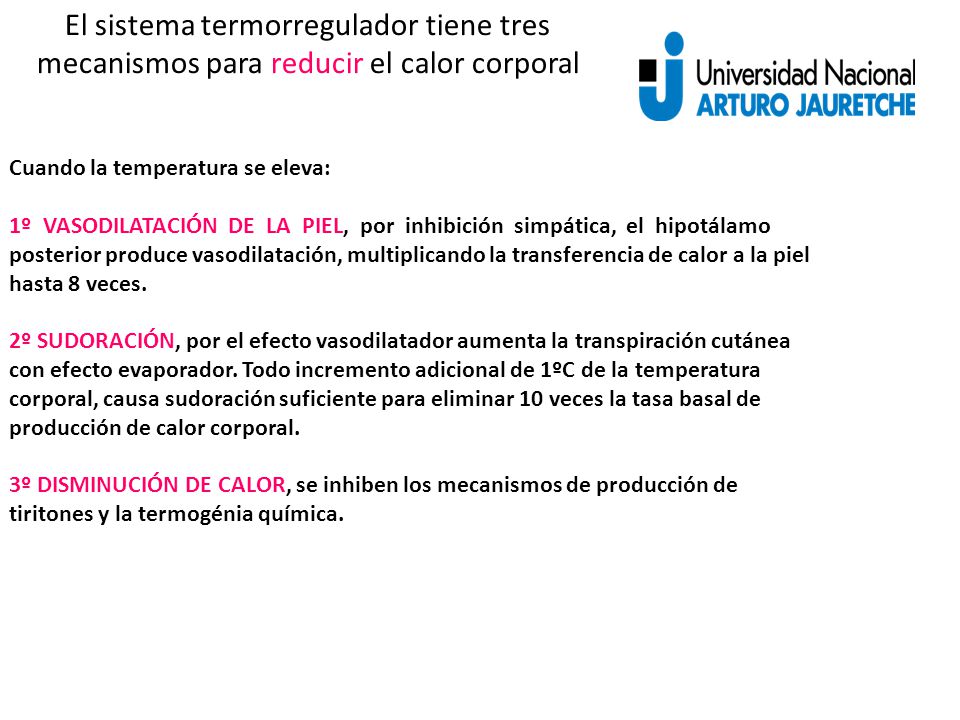 El sistema termorregulador tiene tres mecanismos para reducir el calor corporal