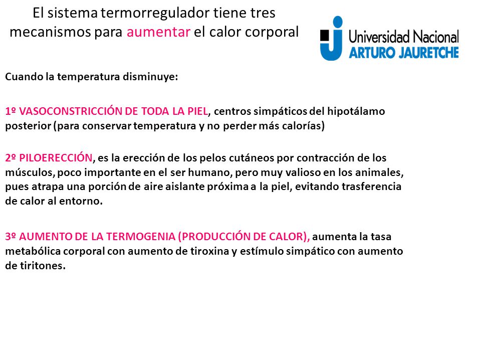 El sistema termorregulador tiene tres mecanismos para aumentar el calor corporal