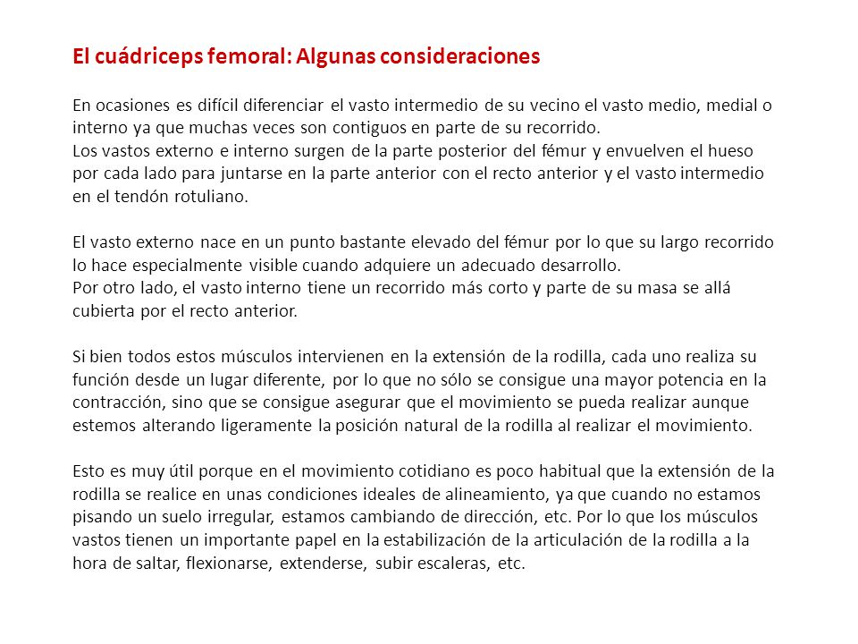 El cuádriceps femoral: Algunas consideraciones En ocasiones es difícil diferenciar el vasto intermedio de su vecino el vasto medio, medial o interno ya que muchas veces son contiguos en parte de su recorrido.