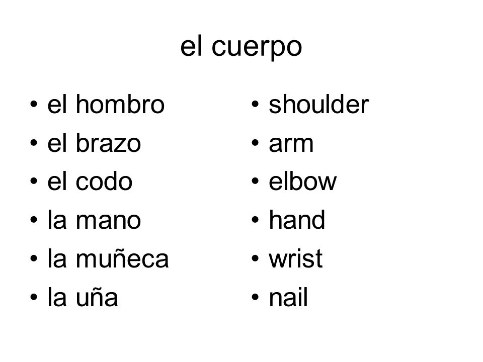el cuerpo el hombro el brazo el codo la mano la muñeca la uña shoulder