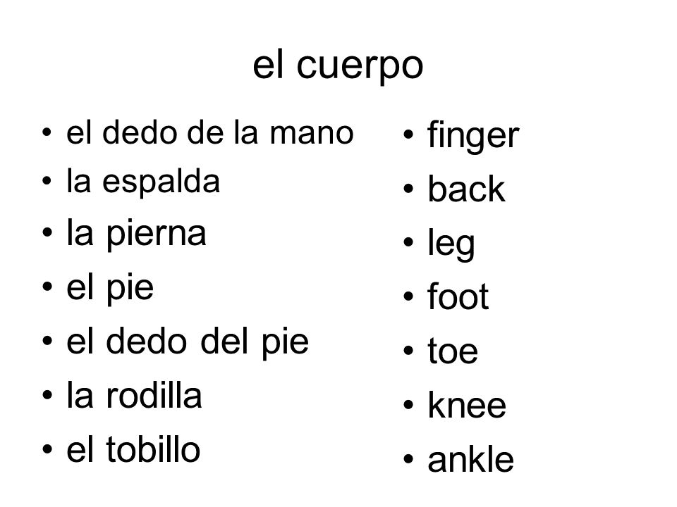 el cuerpo finger back la pierna leg el pie foot el dedo del pie toe