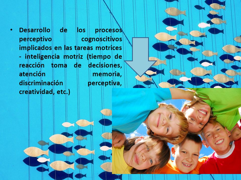 Desarrollo de los procesos perceptivo cognoscitivos implicados en las tareas motrices - inteligencia motriz (tiempo de reacción toma de decisiones, atención memoria, discriminación perceptiva, creatividad, etc.)