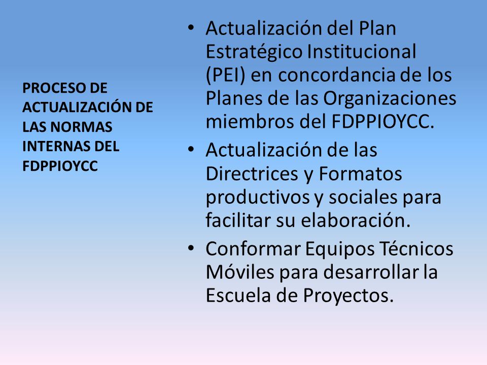 Actualización del Plan Estratégico Institucional (PEI) en concordancia de los Planes de las Organizaciones miembros del FDPPIOYCC.