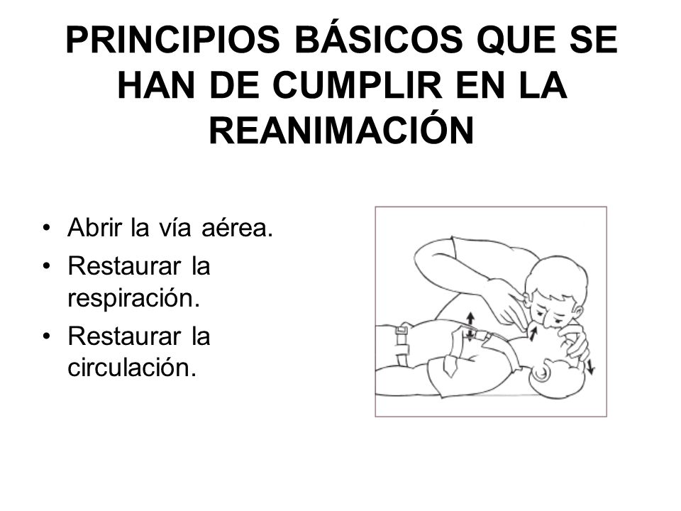 PRINCIPIOS BÁSICOS QUE SE HAN DE CUMPLIR EN LA REANIMACIÓN