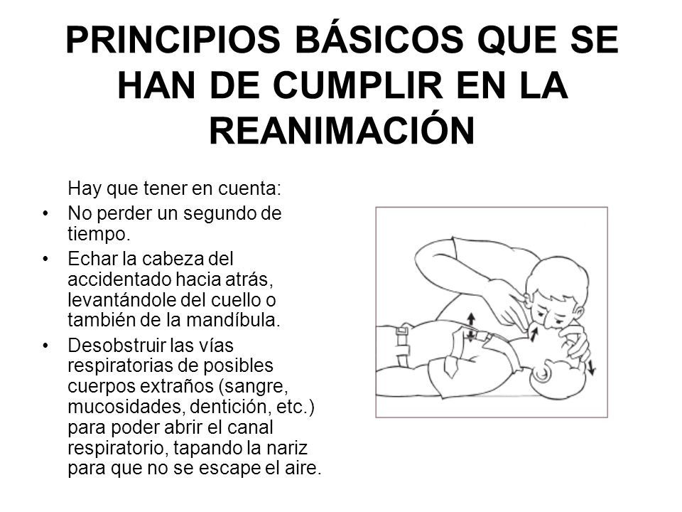 PRINCIPIOS BÁSICOS QUE SE HAN DE CUMPLIR EN LA REANIMACIÓN