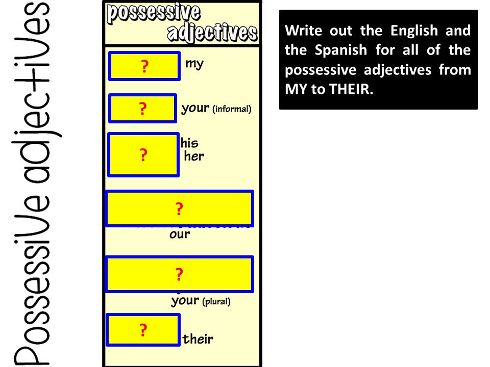 Write out the English and the Spanish for all of the possessive adjectives from MY to THEIR.