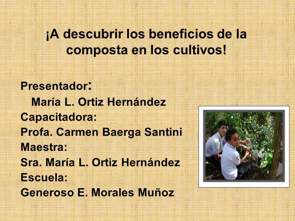 ¡A descubrir los beneficios de la composta en los cultivos!