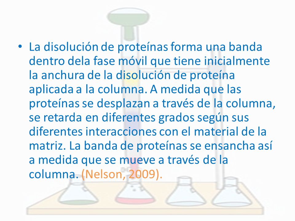 La disolución de proteínas forma una banda dentro dela fase móvil que tiene inicialmente la anchura de la disolución de proteína aplicada a la columna.
