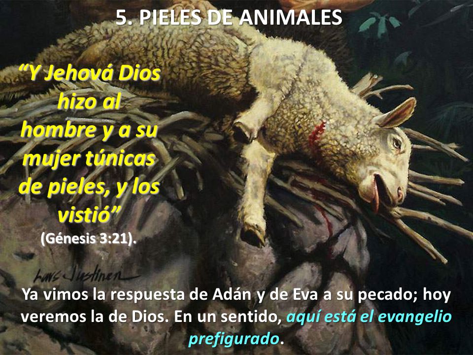 5. PIELES DE ANIMALES Y Jehová Dios hizo al hombre y a su mujer túnicas de pieles, y los vistió (Génesis 3:21).