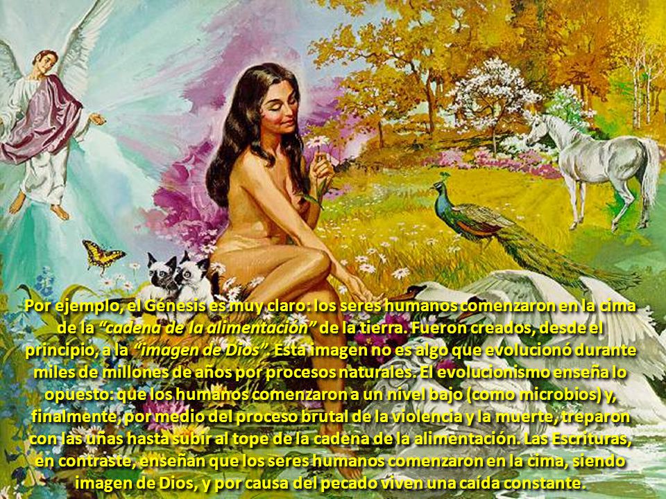 Por ejemplo, el Génesis es muy claro: los seres humanos comenzaron en la cima de la cadena de la alimentación de la tierra.