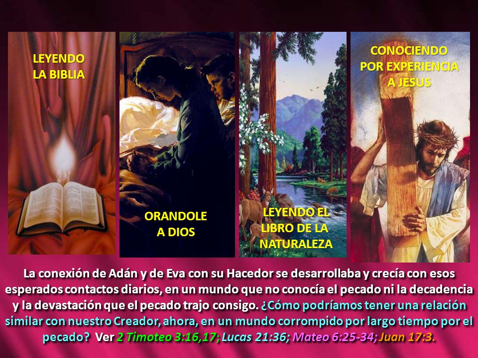 CONOCIENDO POR EXPERIENCIA. A JESUS. LEYENDO. LA BIBLIA. LEYENDO EL. LIBRO DE LA. NATURALEZA.