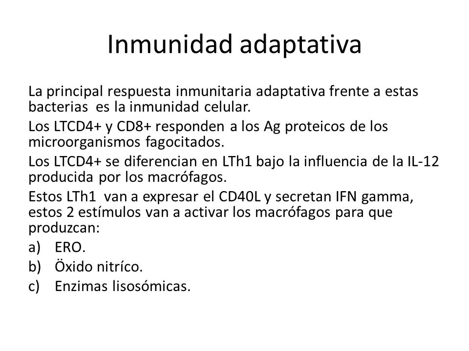 Inmunidad adaptativa La principal respuesta inmunitaria adaptativa frente a estas bacterias es la inmunidad celular.