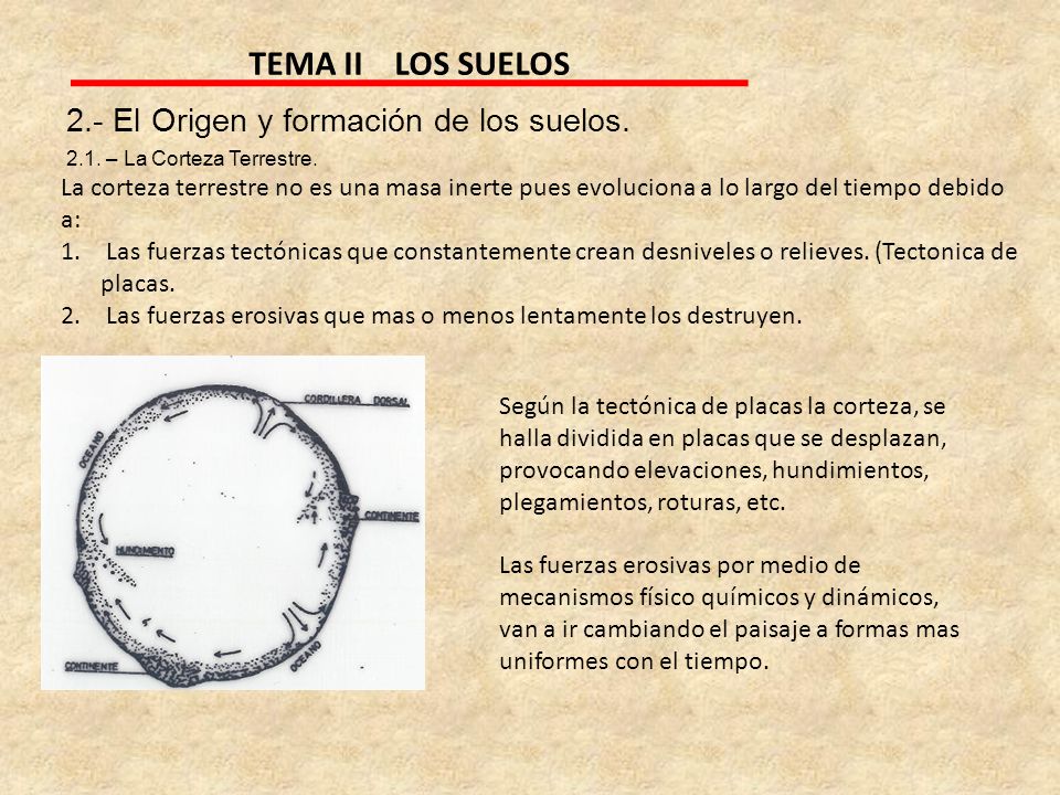 TEMA II LOS SUELOS 2.- El Origen y formación de los suelos.