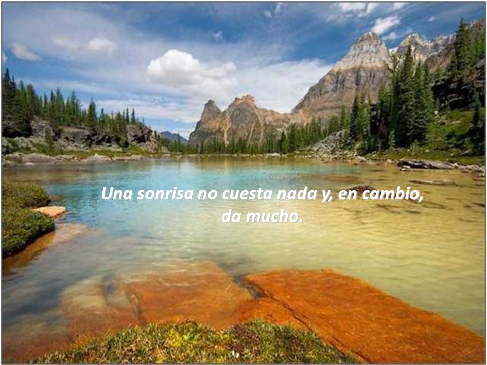 Una sonrisa no cuesta nada y, en cambio, da mucho.