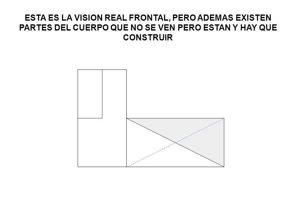 ESTA ES LA VISION REAL FRONTAL, PERO ADEMAS EXISTEN PARTES DEL CUERPO QUE NO SE VEN PERO ESTAN Y HAY QUE CONSTRUIR