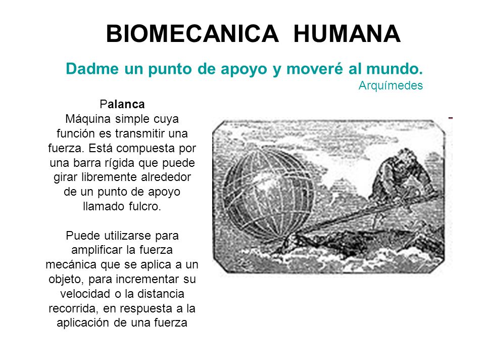 BIOMECANICA HUMANA Dadme un punto de apoyo y moveré al mundo. Arquímedes. Palanca.