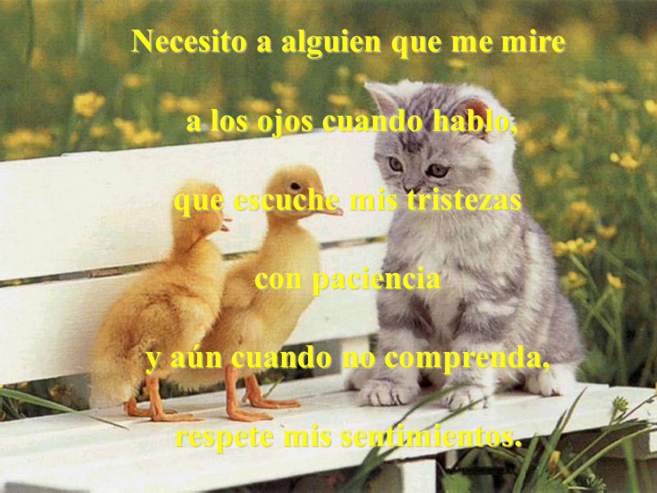 Necesito a alguien que me mire a los ojos cuando hablo,