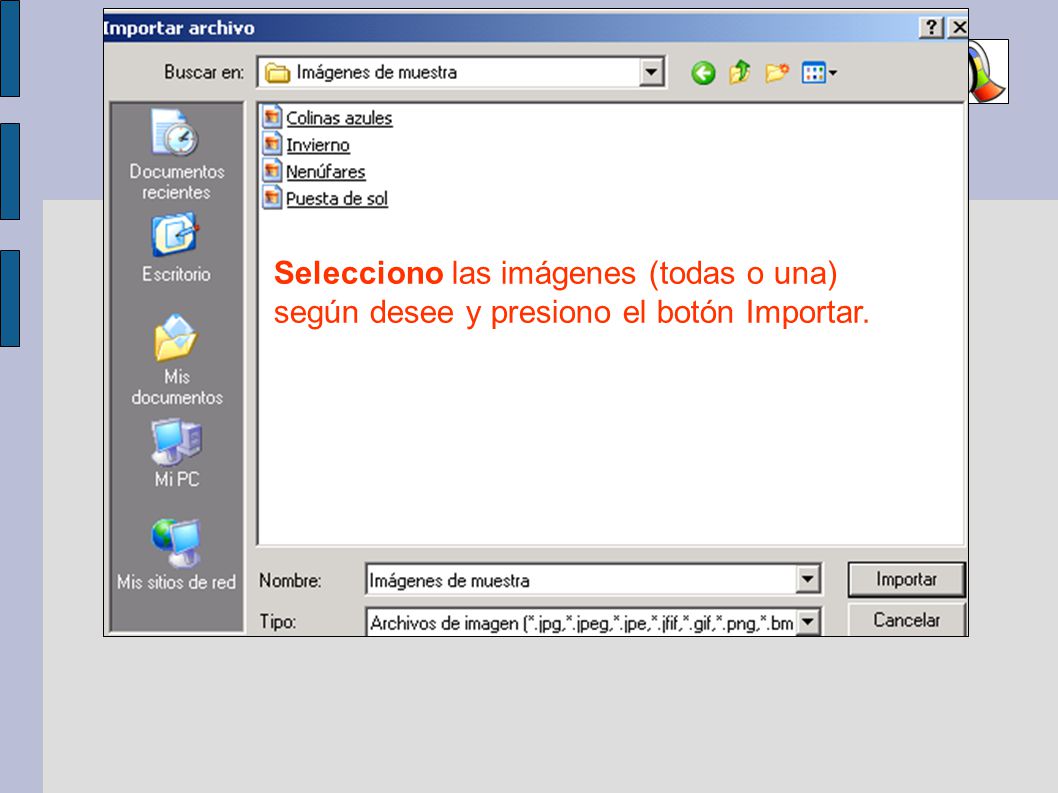 Selecciono las imágenes (todas o una) según desee y presiono el botón Importar.