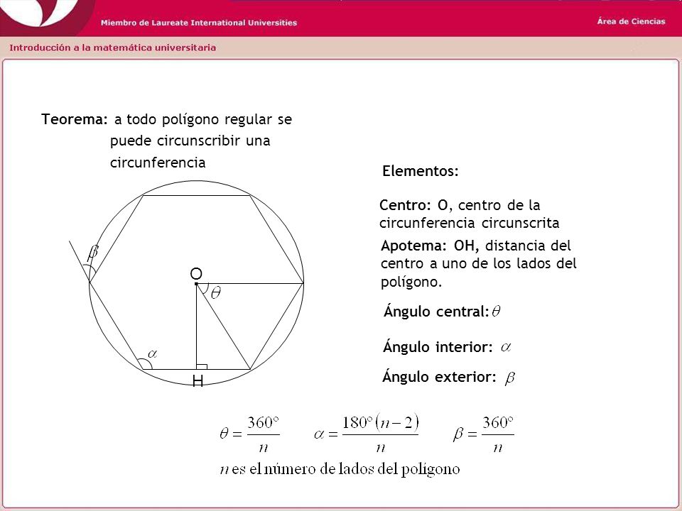 . O H Teorema: a todo polígono regular se puede circunscribir una