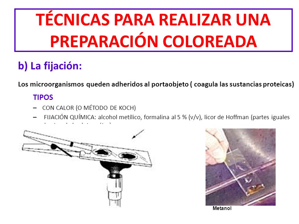 TÉCNICAS PARA REALIZAR UNA PREPARACIÓN COLOREADA