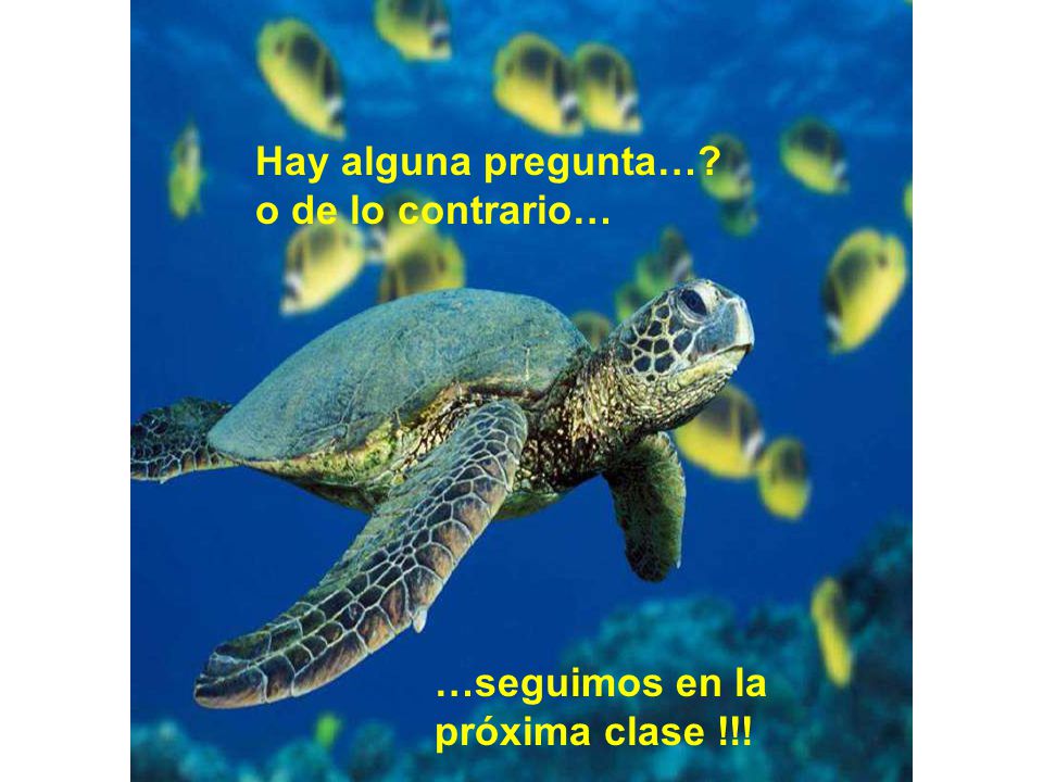 Hay alguna pregunta… o de lo contrario… …seguimos en la próxima clase !!!