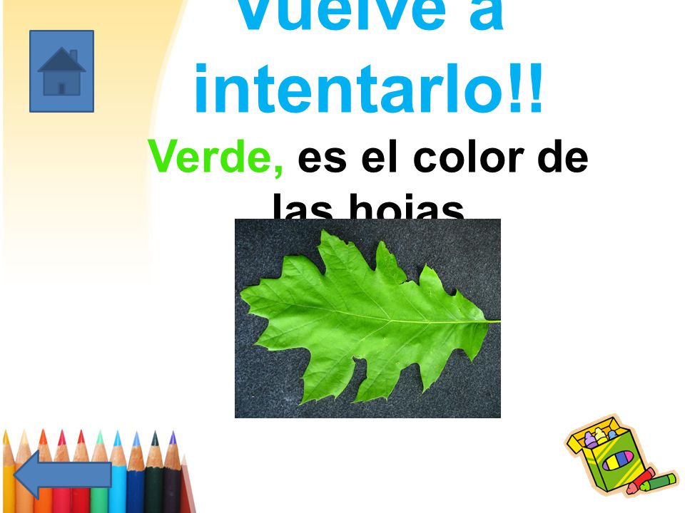 Vuelve a intentarlo!! Verde, es el color de las hojas