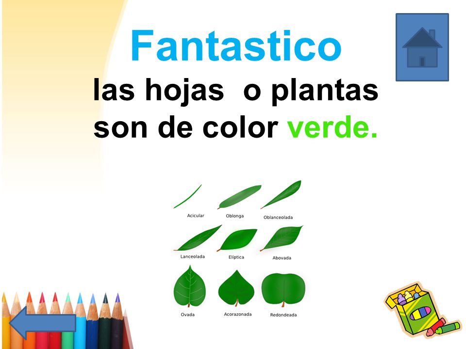 Fantastico las hojas o plantas son de color verde.