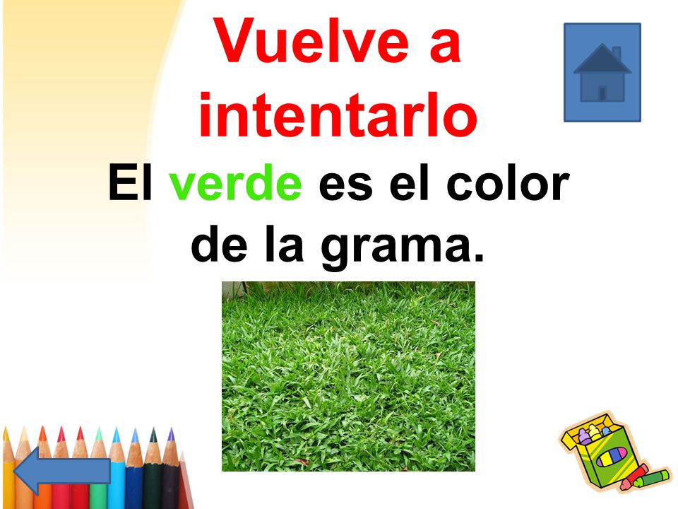 Vuelve a intentarlo El verde es el color de la grama.