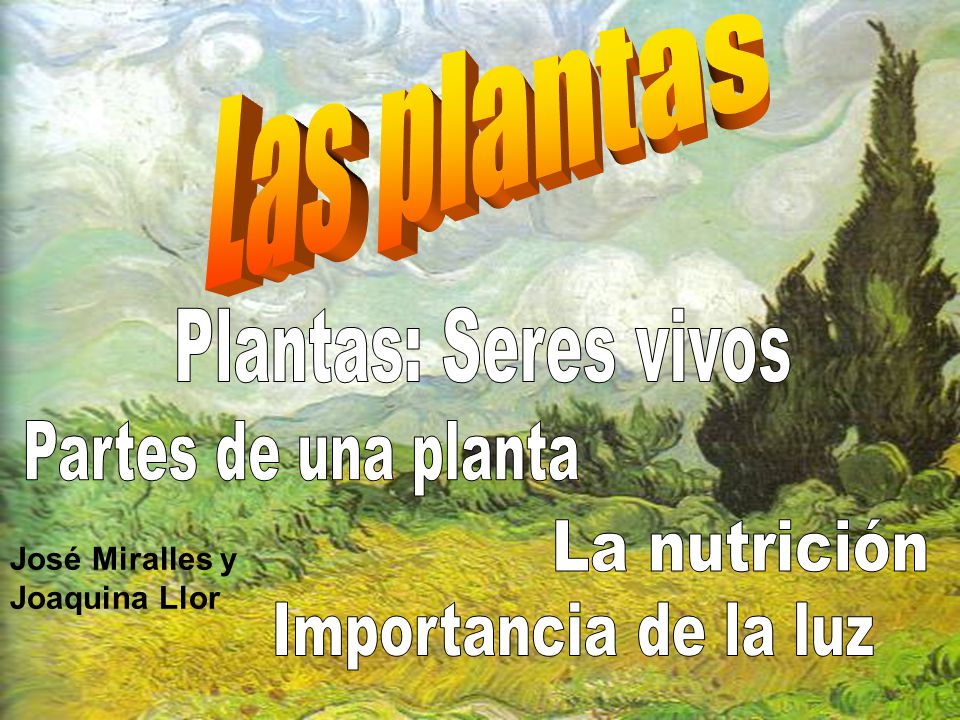 Las plantas Plantas: Seres vivos Partes de una planta La nutrición