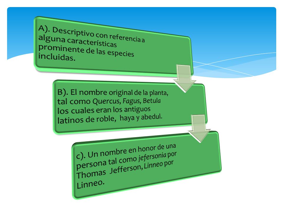 A). Descriptivo con referencia a alguna características prominente de las especies incluidas.