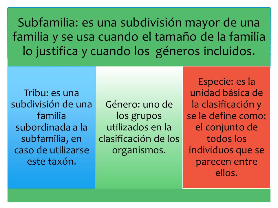 Subfamilia: es una subdivisión mayor de una familia y se usa cuando el tamaño de la familia lo justifica y cuando los géneros incluidos.