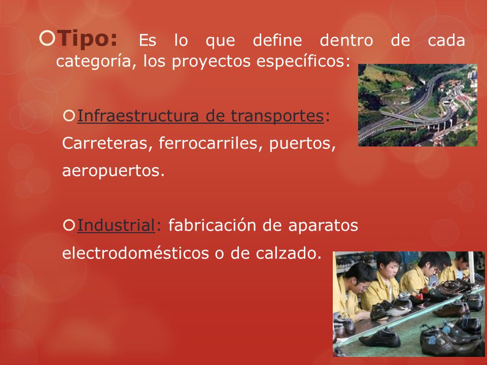 Tipo: Es lo que define dentro de cada categoría, los proyectos específicos: