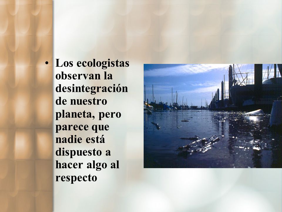 Los ecologistas observan la desintegración de nuestro planeta, pero parece que nadie está dispuesto a hacer algo al respecto