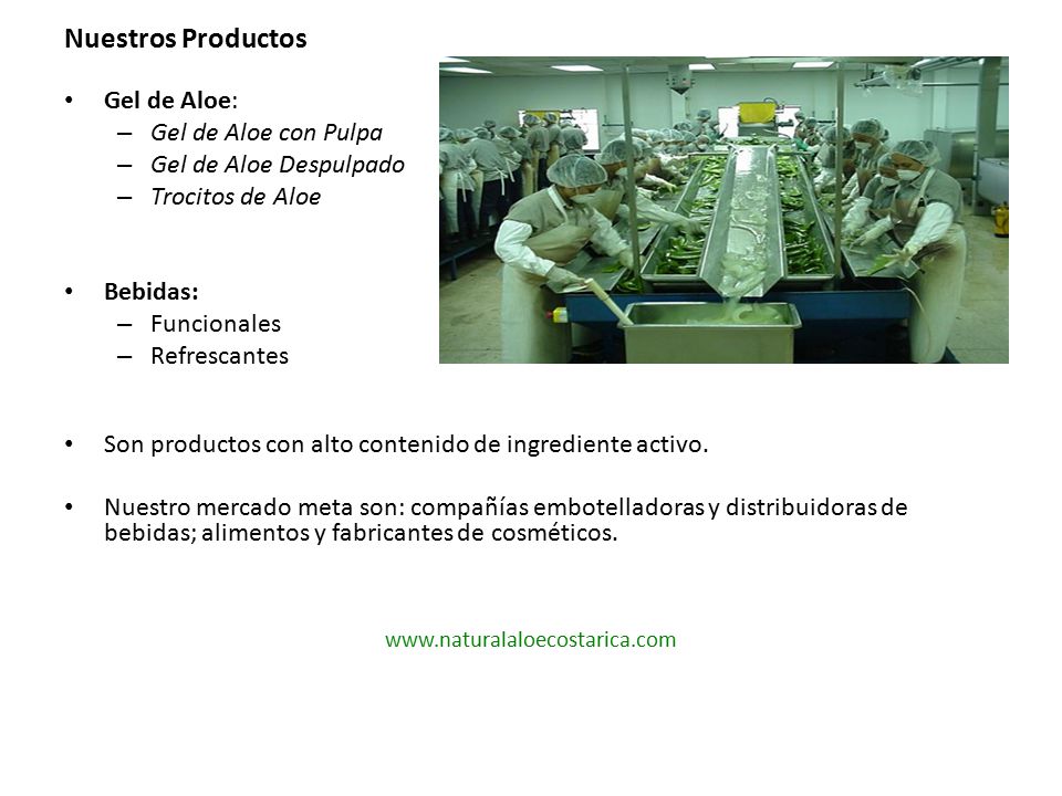 Nuestros Productos Gel de Aloe: Gel de Aloe con Pulpa