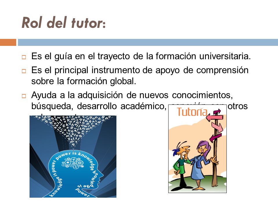 Rol del tutor: Es el guía en el trayecto de la formación universitaria.