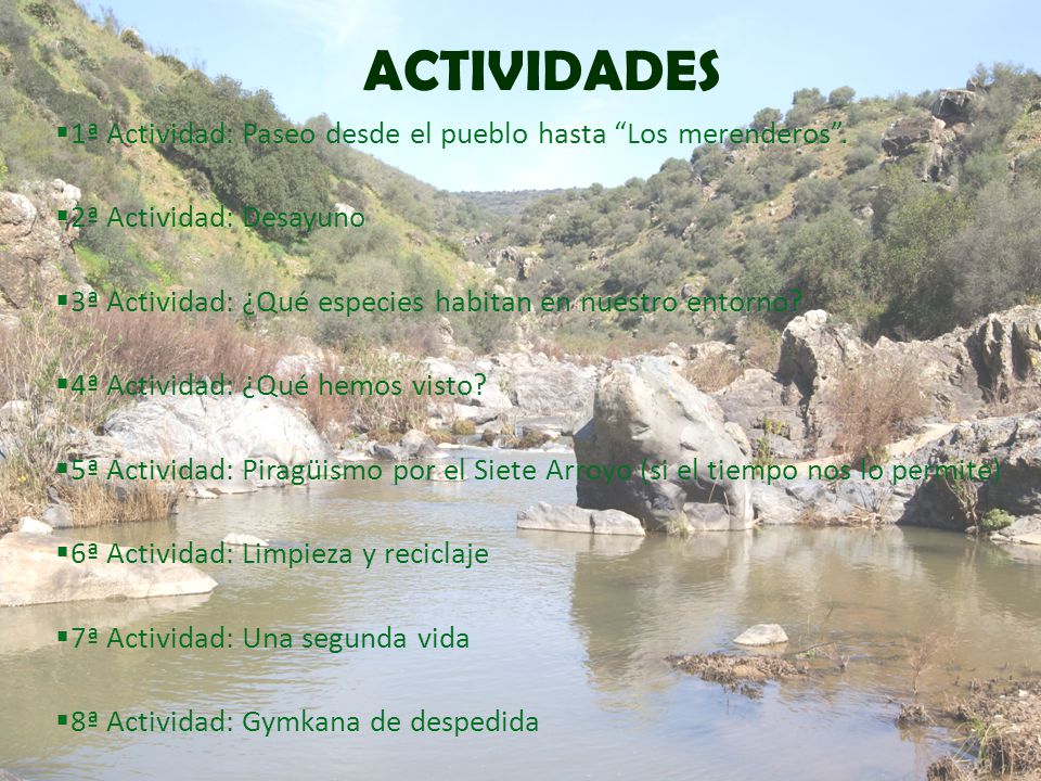 ACTIVIDADES 1ª Actividad: Paseo desde el pueblo hasta Los merenderos . 2ª Actividad: Desayuno.