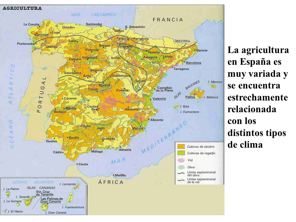 La agricultura en España es muy variada y se encuentra estrechamente relacionada con los distintos tipos de clima