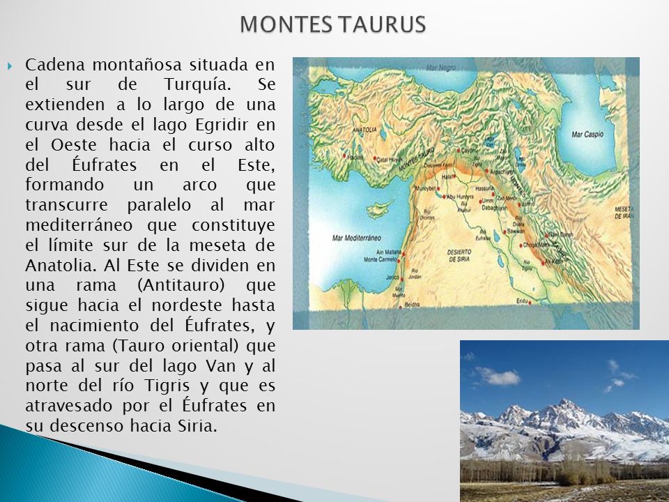 MONTES TAURUS