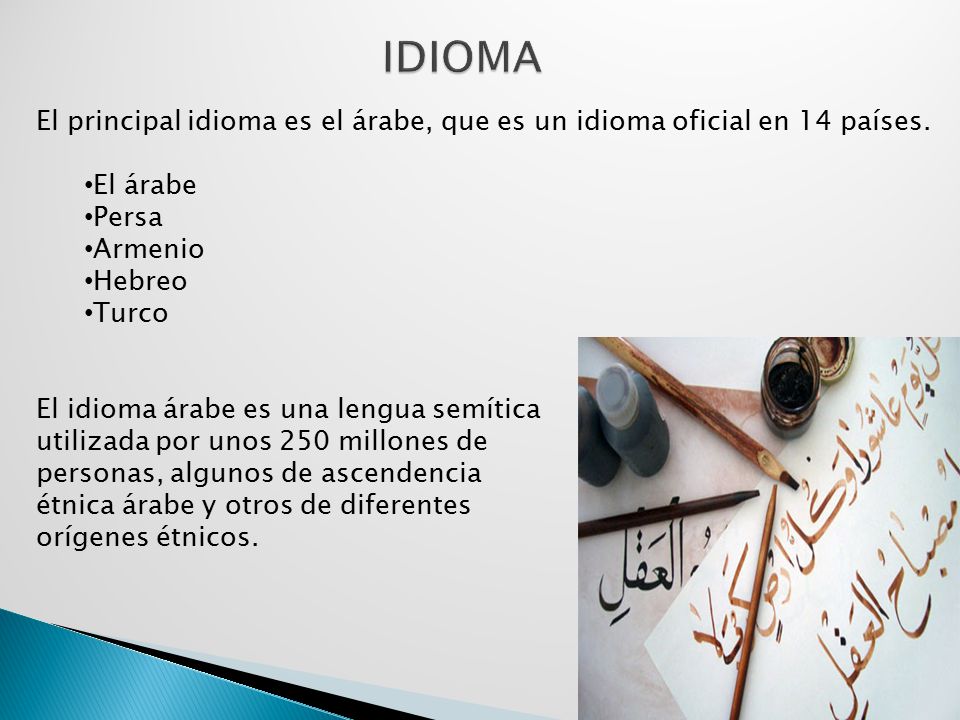 IDIOMA El principal idioma es el árabe, que es un idioma oficial en 14 países. El árabe. Persa. Armenio.