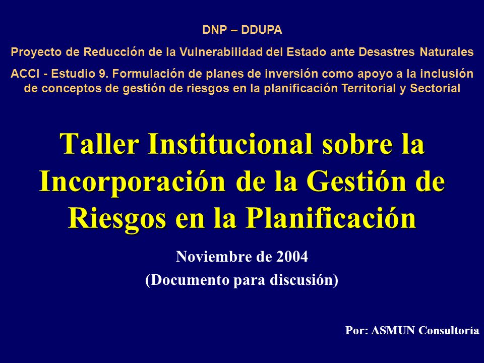 Noviembre de 2004 (Documento para discusión) Por: ASMUN Consultoría