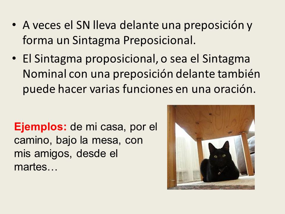 A veces el SN lleva delante una preposición y forma un Sintagma Preposicional.