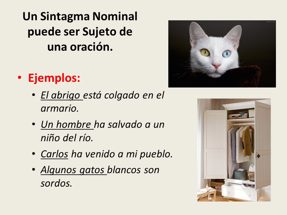 Un Sintagma Nominal puede ser Sujeto de una oración.
