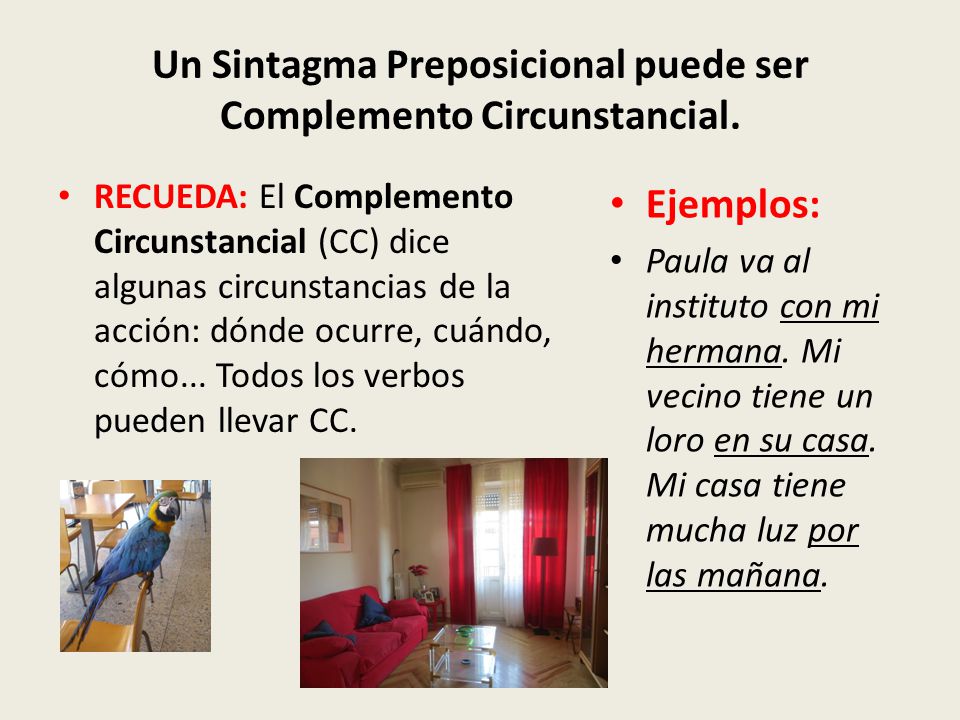 Un Sintagma Preposicional puede ser Complemento Circunstancial.
