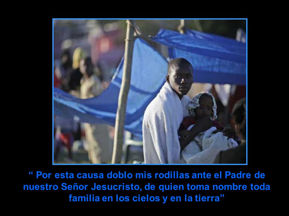 Por esta causa doblo mis rodillas ante el Padre de nuestro Señor Jesucristo, de quien toma nombre toda familia en los cielos y en la tierra