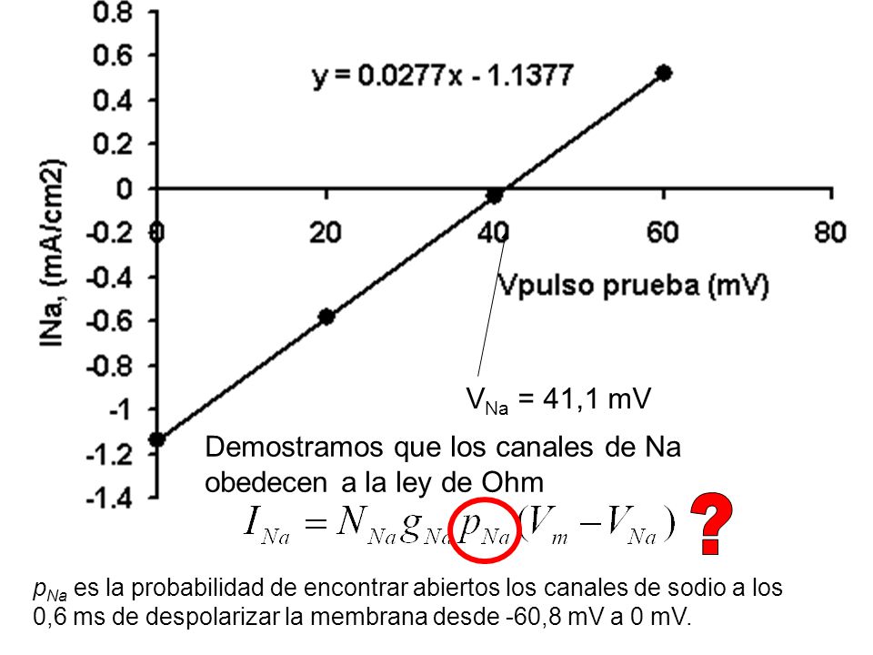 VNa = 41,1 mV Demostramos que los canales de Na obedecen a la ley de Ohm.