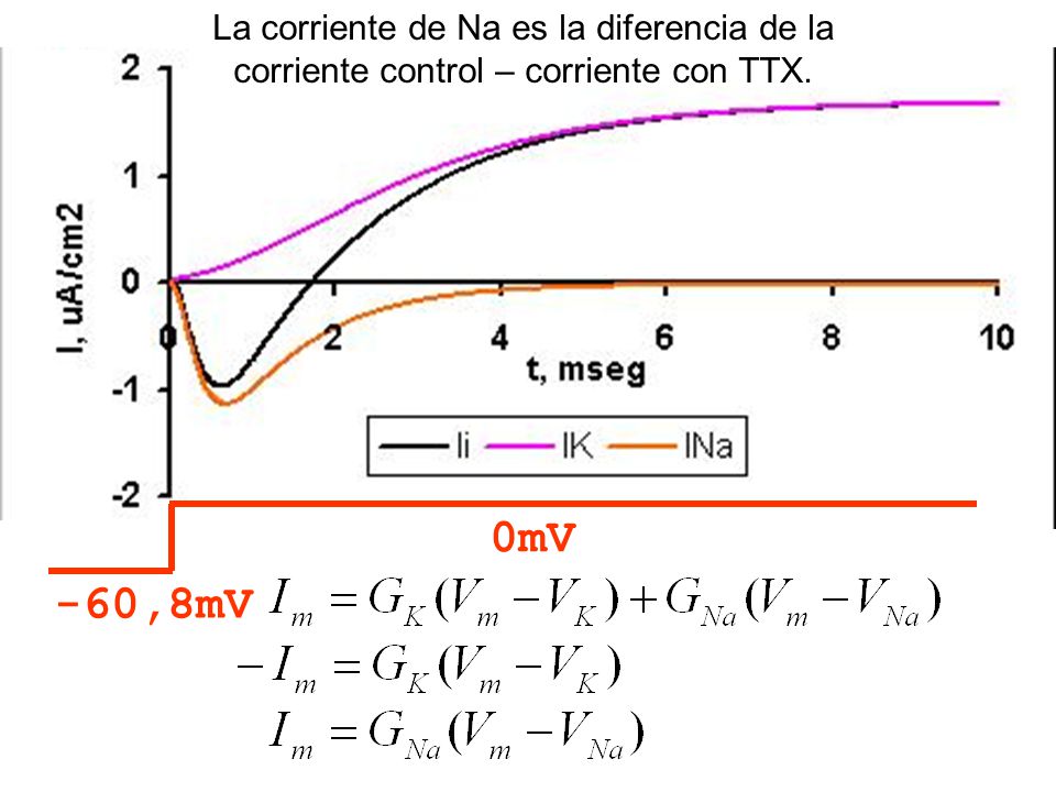 La corriente de Na es la diferencia de la corriente control – corriente con TTX.